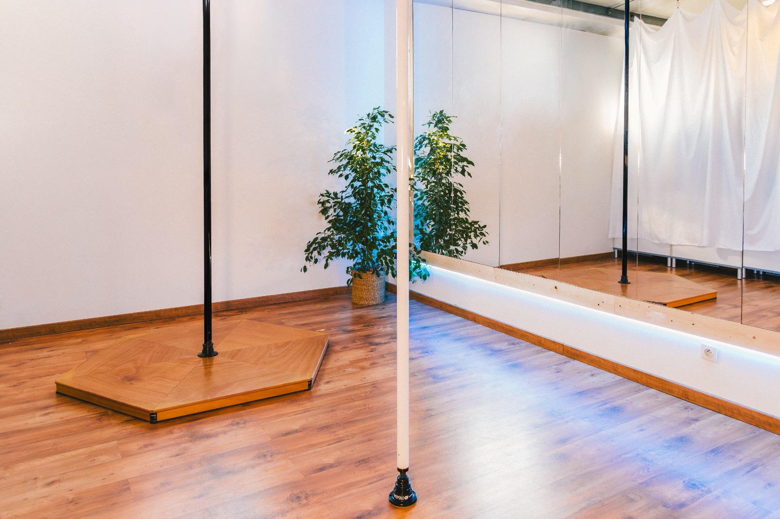 Vue d'ensemble du studio avec deux barres de pole dance, miroirs et plateforme en bois